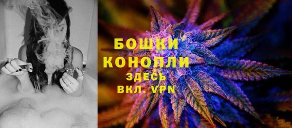 бошки Арсеньев