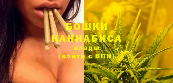 бошки Арсеньев