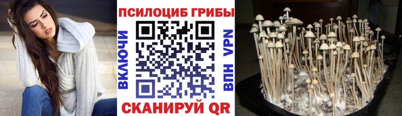 сайты даркнета формула  Спас-Клепики  Псилоцибиновые грибы мицелий 